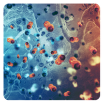 Adviser 2: Oncology Webinar Adviser 2: Oncology Webinar